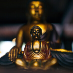 BHNN Guest Podcast – Ep. 263 – Dharma Lessons from 50 Years of Buddhist Practice with Gil Fronsdal